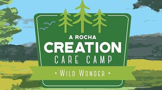 Wild Wonder VBS Registration